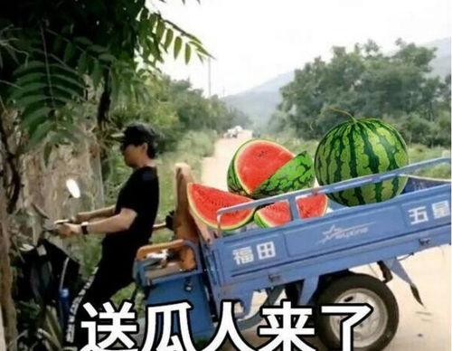 最近大瓜事件,揭秘明星隐私风波背后的真相-第1张图片-草莓视频深夜