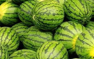 吃瓜网官网免费观看 吃瓜网官网,免费观看，畅享娱乐盛宴-第2张图片-草莓视频深夜