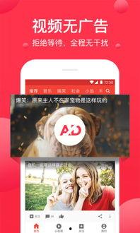 西瓜视频成人网址大全,带你探索网络世界的隐秘角落-第1张图片-草莓视频深夜