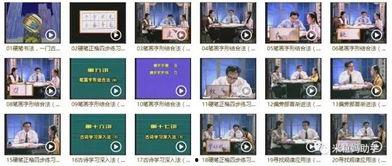 楷书成人直播视频,跟随直播视频领略成人楷书艺术魅力-第1张图片-草莓视频深夜