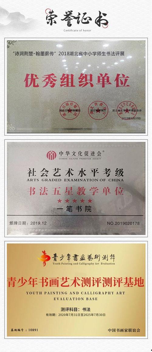 成人行楷速成练字视频,跟随视频轻松入门-第1张图片-草莓视频深夜