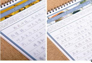 成人行楷速成练字视频,跟随视频轻松入门-第2张图片-草莓视频深夜