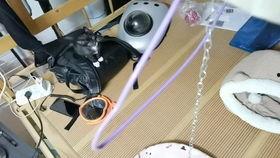 成人滑轮课程视频大全,成人滑轮课程视频大全精华汇总-第3张图片-草莓视频深夜