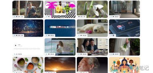 成人插队视频素材网站,现象解析与反思-第3张图片-草莓视频深夜