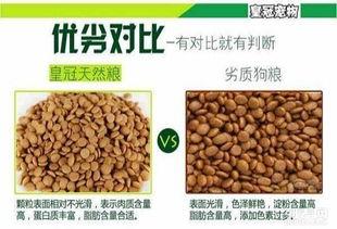 成人吃狗粮视频播放,成人吃狗粮视频走红网络现象解析-第2张图片-草莓视频深夜