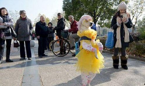 成人打扮小狗视频,成人cos小狗，演绎另类打扮风潮-第2张图片-草莓视频深夜