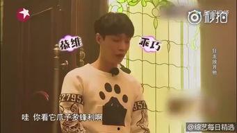 成人嗨视频在线观看,在线观看的激情之旅-第3张图片-草莓视频深夜 成人嗨视频在线观看,在线观看的激情之旅-第3张图片-草莓视频深夜