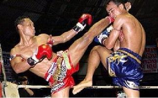 成人拳击日照视频大全,成人拳击日照精彩视频集锦-第3张图片-草莓视频深夜