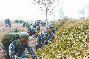 成人徒步拉练视频大全集,视频大全集精华解析-第3张图片-草莓视频深夜