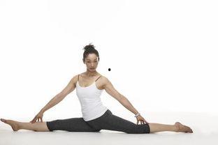 成人劈叉痛的视频,专业指导与缓解技巧-第1张图片-草莓视频深夜