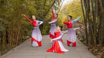 圆扇舞成人简单视频教学,轻松入门，舞动优雅-第1张图片-草莓视频深夜