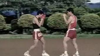 成人散打所有视频大全,成人散打视频大全精华汇总-第1张图片-草莓视频深夜