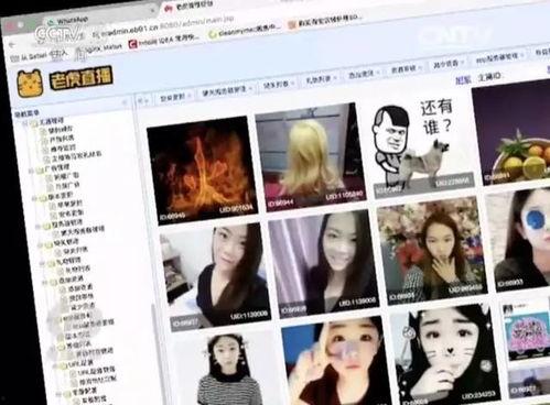 成人直播视频在线观看-第2张图片-草莓视频深夜